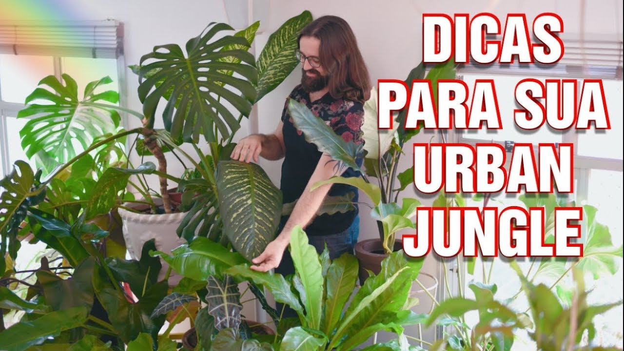 COMO DECORAR sua SALA com PLANTAS - Decoração de sala com plantas ornamentais