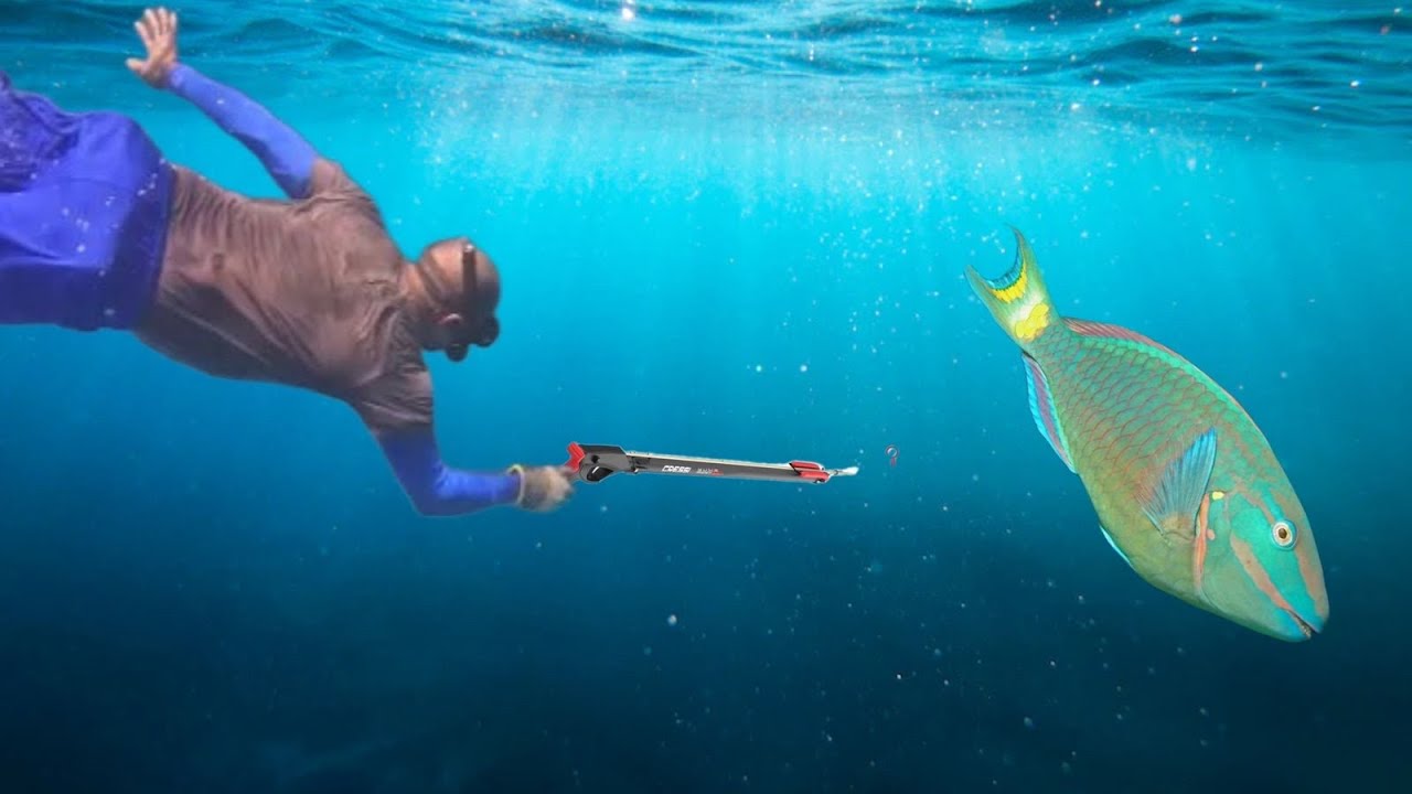 First Dive For 2024 Beautiful Clear Water's With Lots Of Life On The Reefs/ We Caught Some Nice Fish
