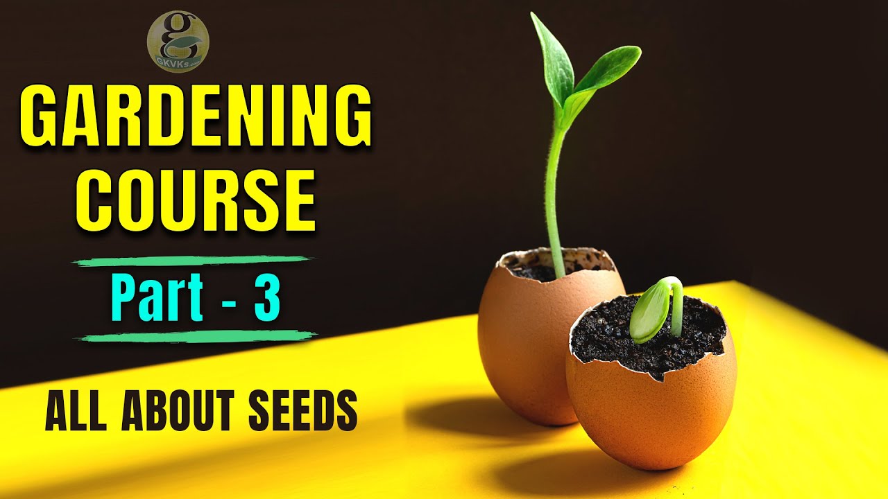 COMPLETE GARDENING COURSE FOR BEGINNERS &ndash; PART 3 | SEEDS GERMINATION TIPS
