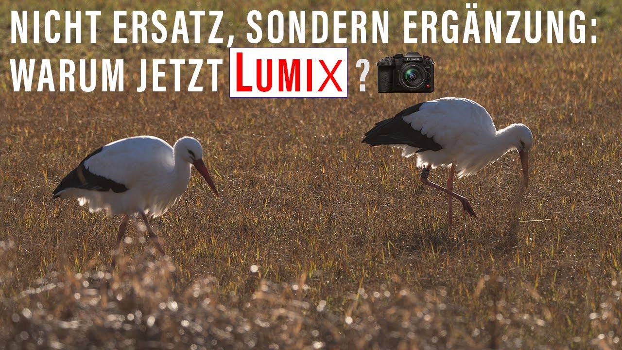 Neues Kamerasystem, alter Gimbal – wie schlägt sich die LUMIX GH7 draußen auf dem DJI Ronin RS3?