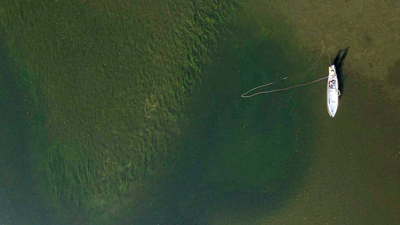 River Pike Fly Fishing - Big fish morning in Tjuonajokk