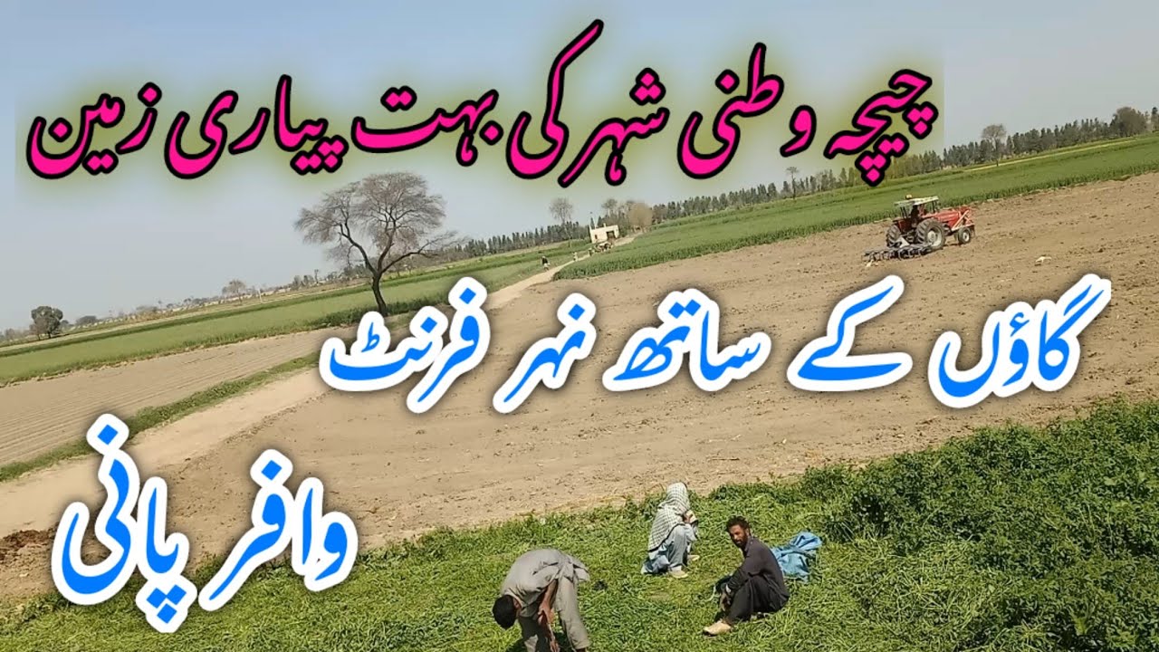 زرعی زمین برائے فروخت agricultural land for sale 