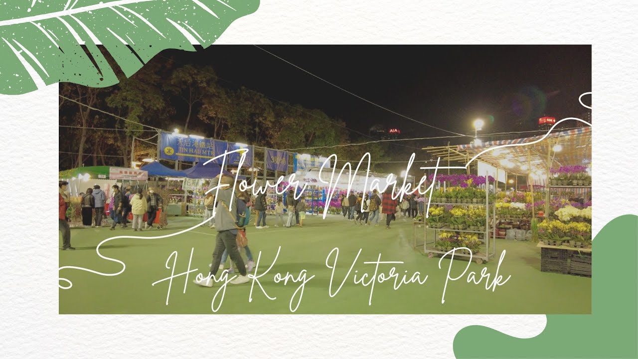 Hong Kong 4K Victoria Park Flower Market 2023 | 香港維多利亞公園花市