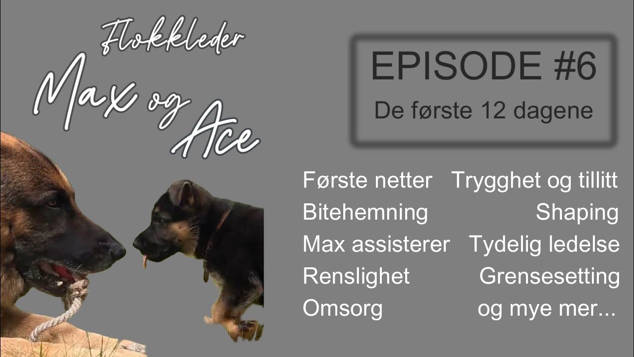 Max&Ace Episode #06