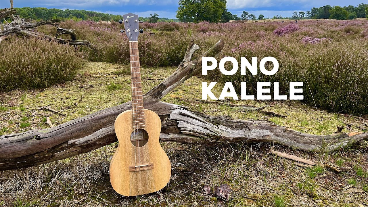 Ko'olau Pono Mango Baritone ukulele MGB-K | Kalele