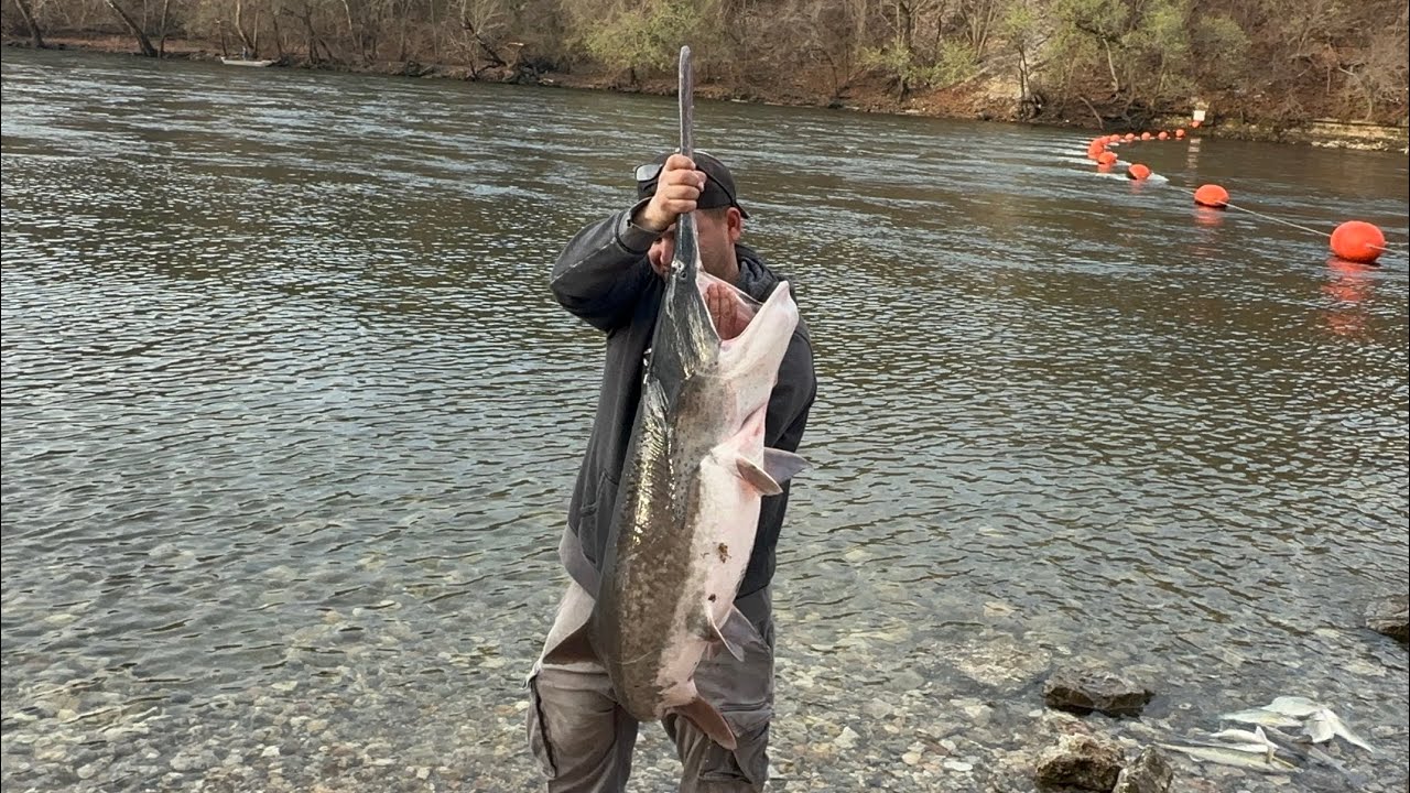 Los fue bien en el día de pesca hoy 