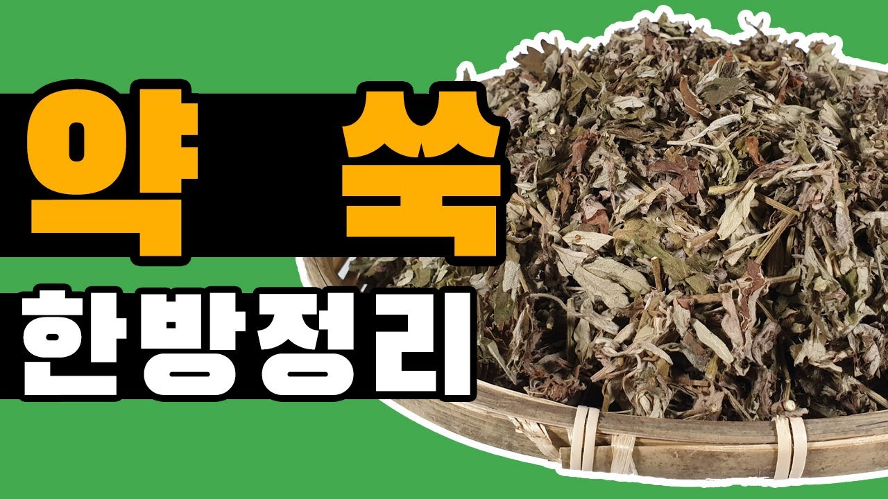 여성에게 좋은 약쑥!! / 가격,효능,먹는법까지 [약방청년의 한방정리]