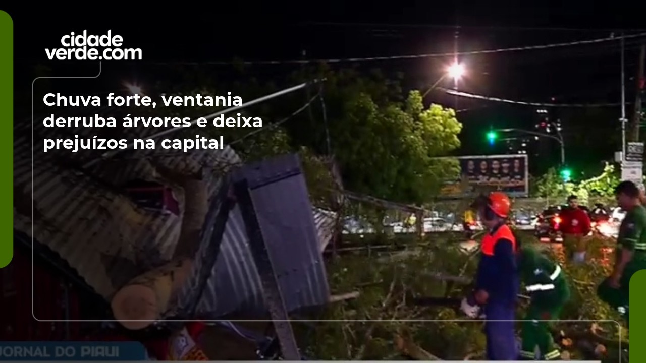 Chuva forte, ventania derruba árvores e deixa prejuízos na capital