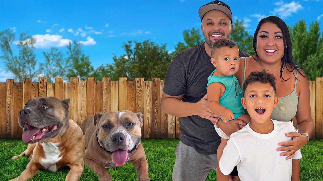 We ADOPTED Two New Dogs