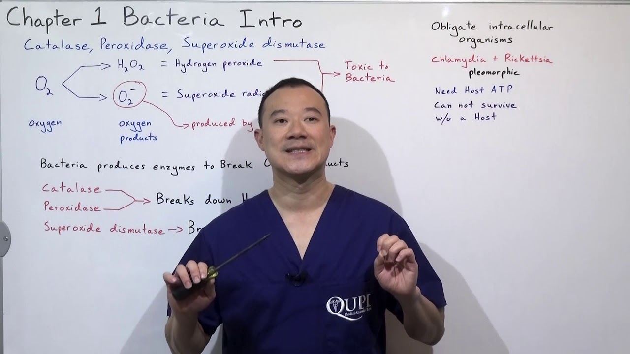 Catalase, Peroxidase, Superoxide dismutase Infectious Disease CH1 P7