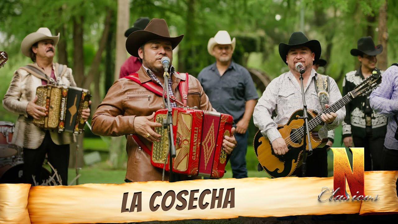 La Cosecha - Norteños Clásicos