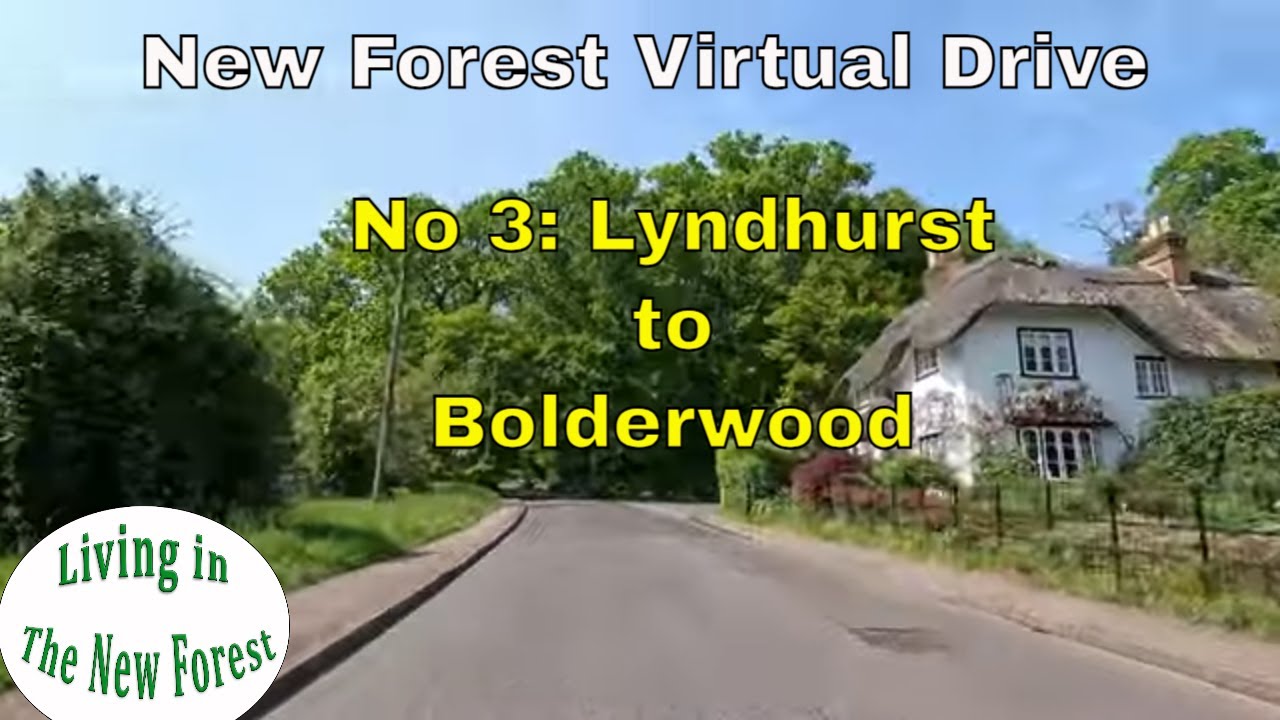 Lyndhurst to Bolderwood - a New Forest driving tour in May - New Forest Virtual Tours #newforest