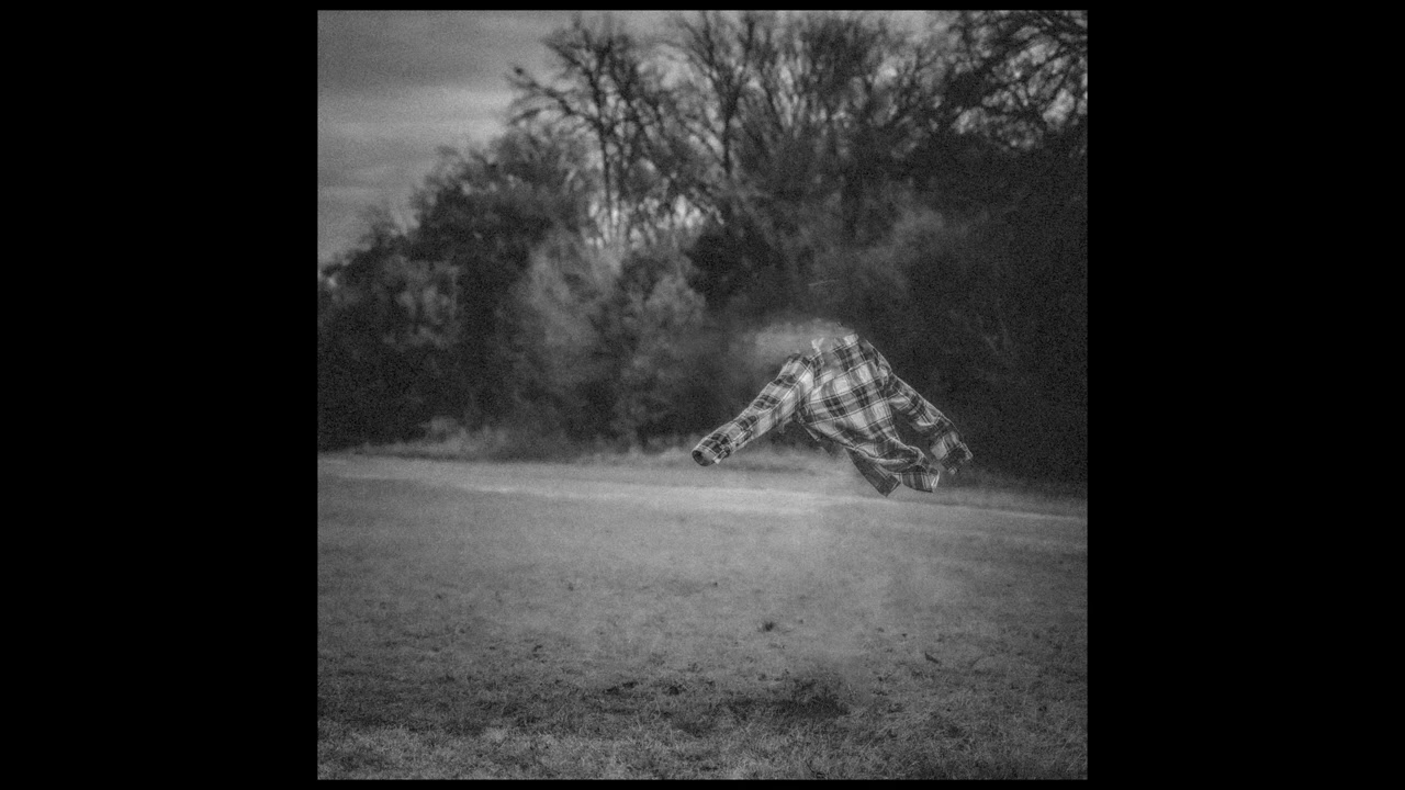 Wings Denied - Lost in it All