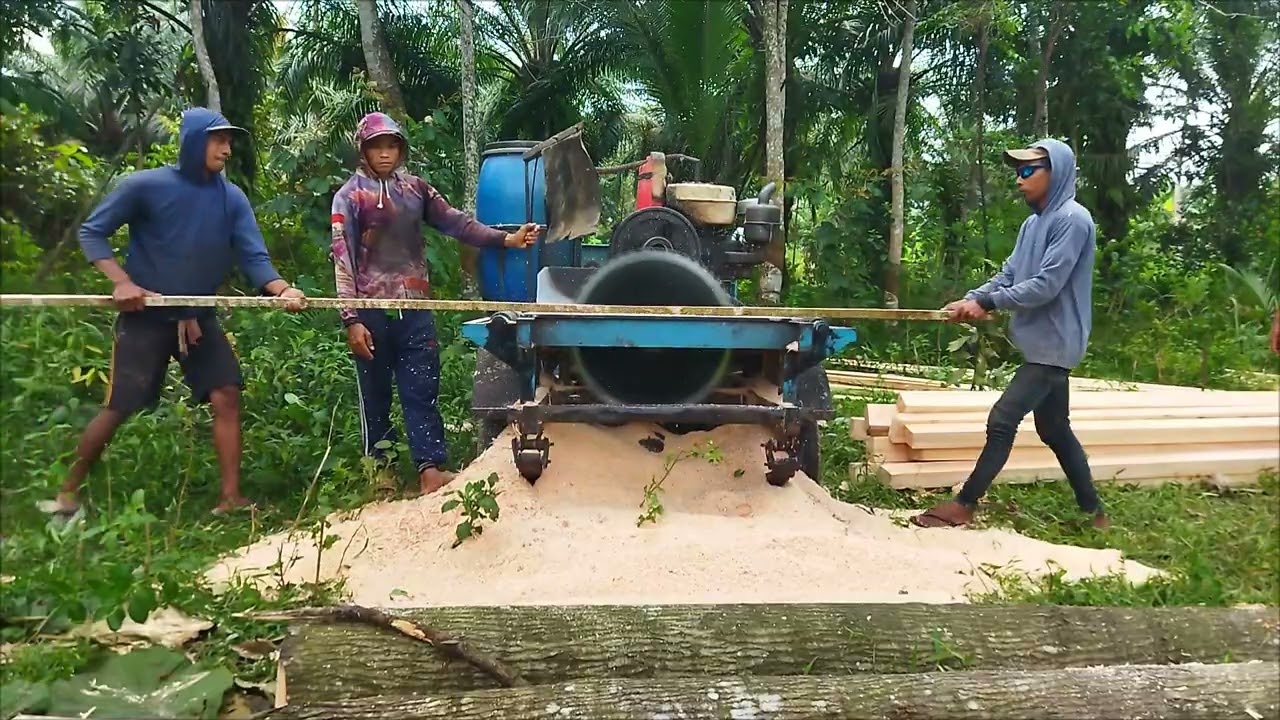 Gesek kayu mindri yg sangat besar 😁