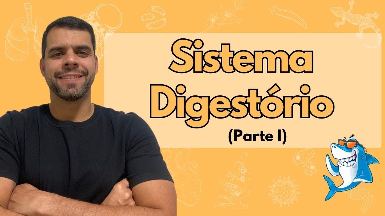 Anatomia e Fisiologia Humana - Aula 4 - Sistema Digestório (parte I)