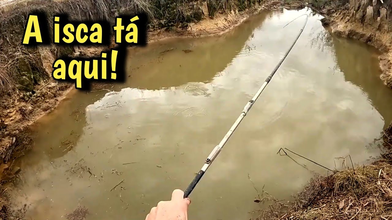 Minha primeira pescaria no Rio itajai Açu em Gaspar-SC (saiu peixe frito, e peixe na linha)