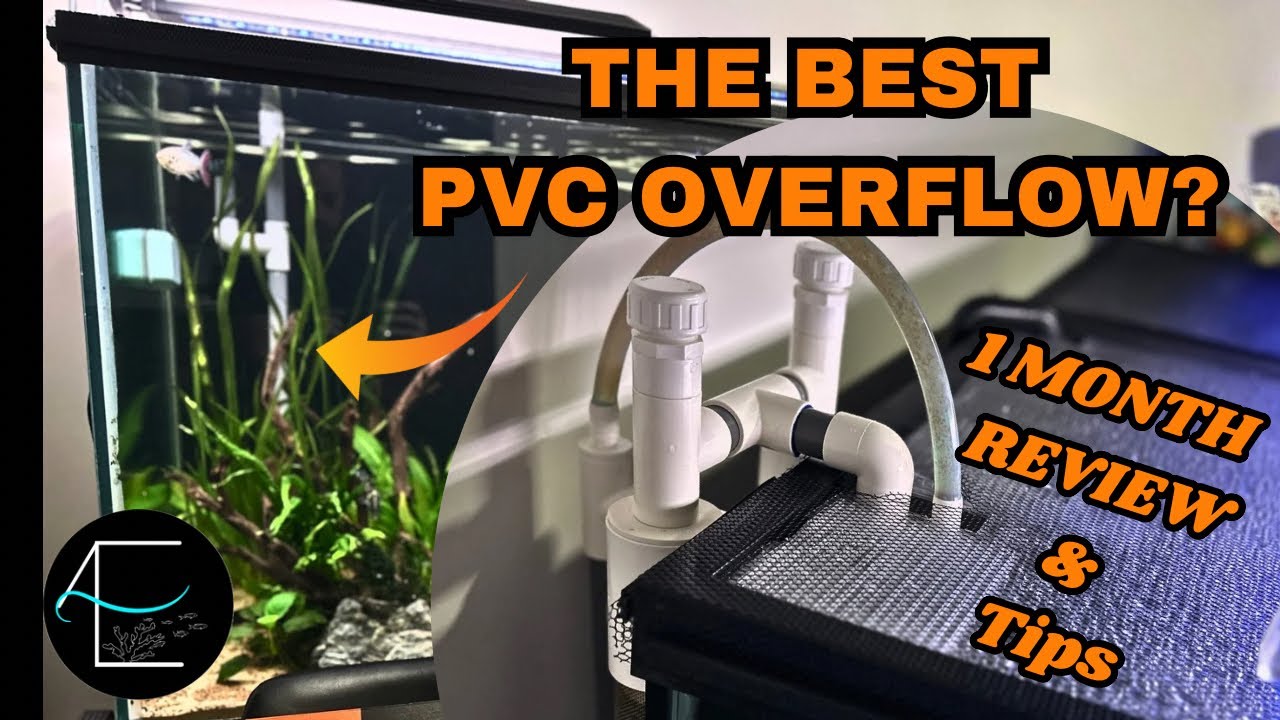 Устройство для сбора рыбных отходов HYGGER: как оно работает (полный обзор)