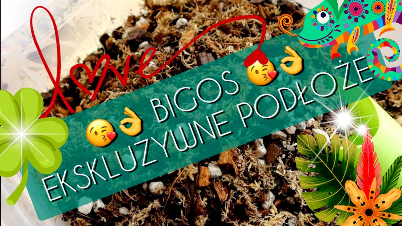 BIGOS EKSKLUZYWNY 💖😘👌💖- podłoże dla roślin 🌴🍀🌴