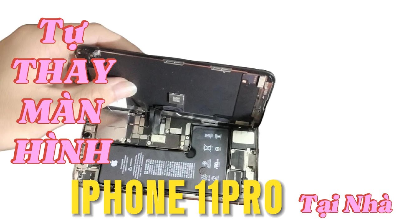 Hướng dẫn chi tiết tự thay màn hình iphone 11pro tại nhà đơn giản