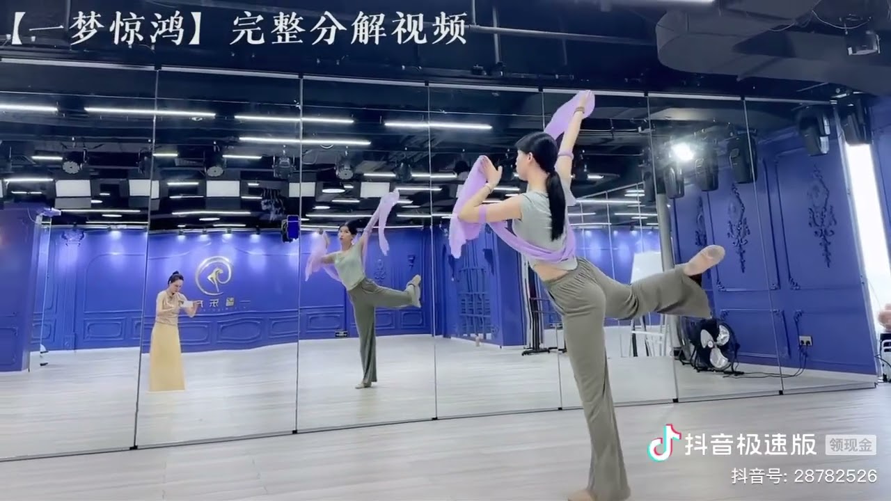 《一梦惊鸿》舞蹈教程