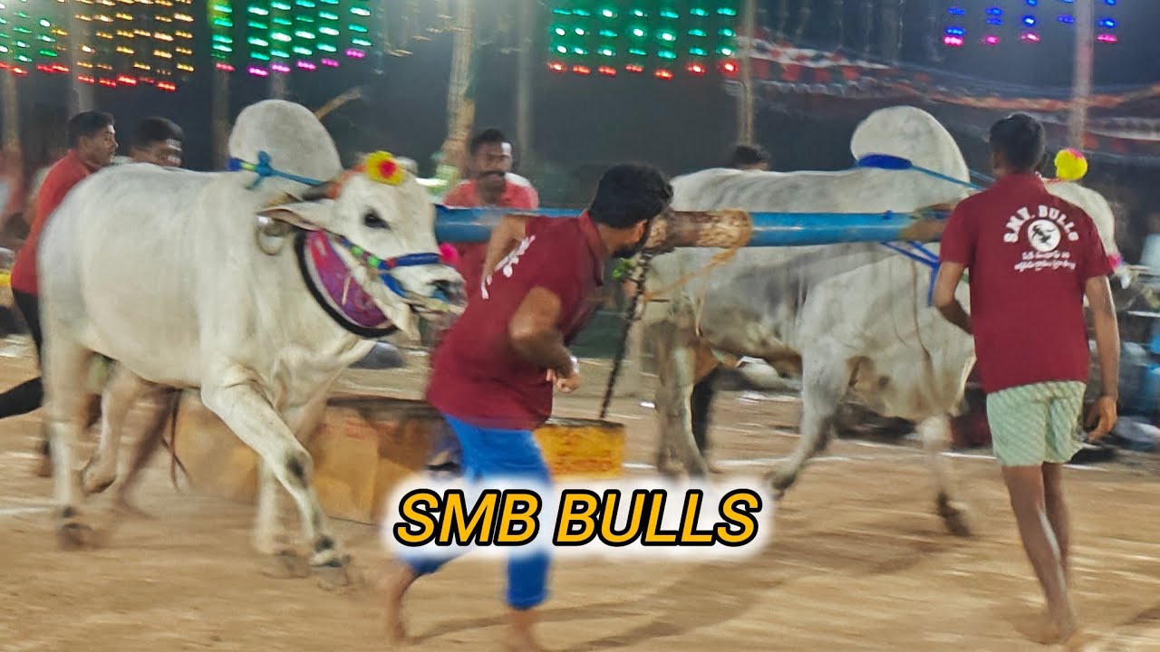 మాచవరం సబ్ జూనియర్స్ 7వ SMB BULLS అర్ధవీడు గ్రామం ప్రకాశం జిల్లా...