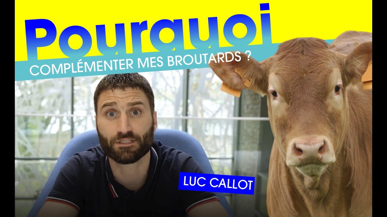 Broutards : Pourquoi dois-je complémenter mes broutards ?