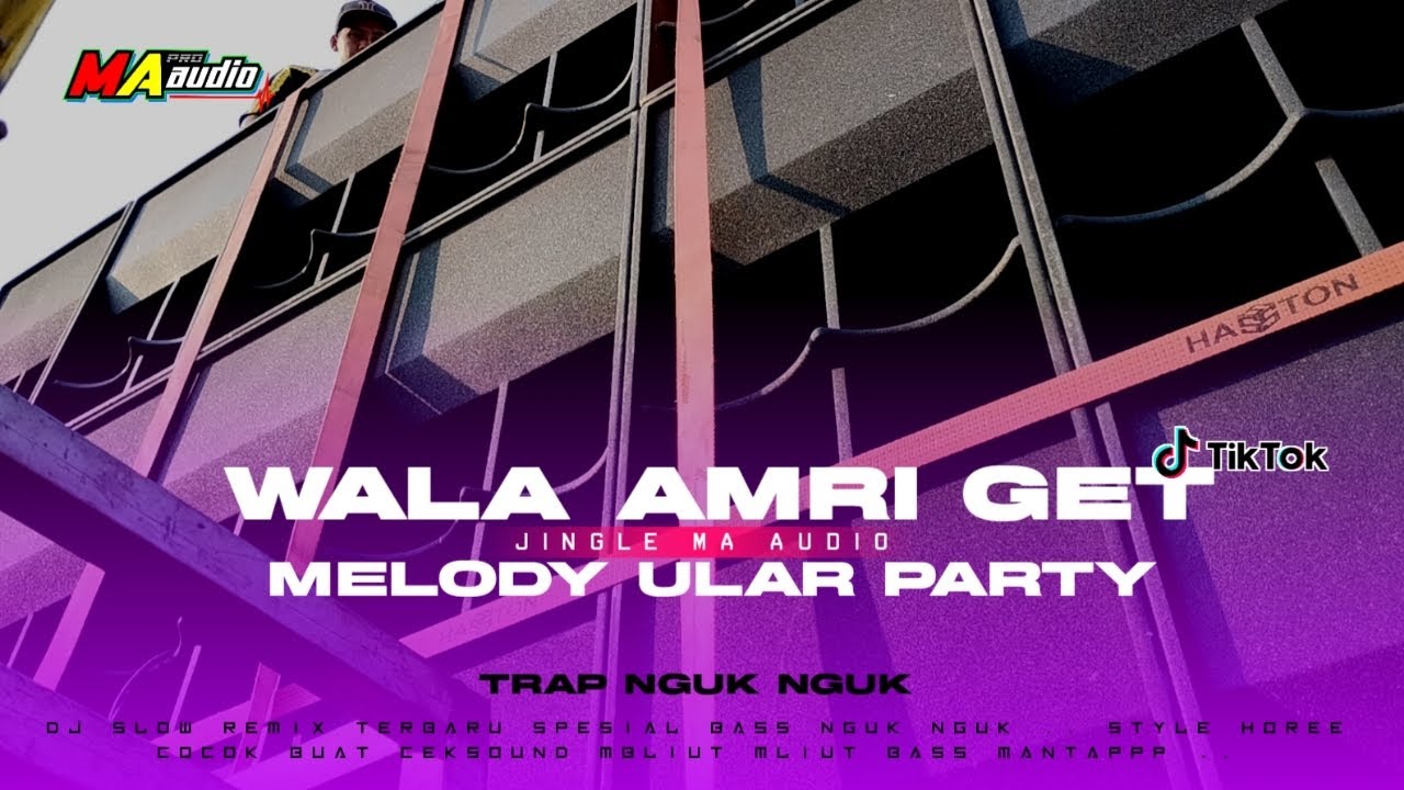 DJ BASS NGUK NGUK PARTY || DJ WALA AMRI GET VIRAL TIKTOK PARTY JEDAG JEDUG #maaudiolawang #djbas