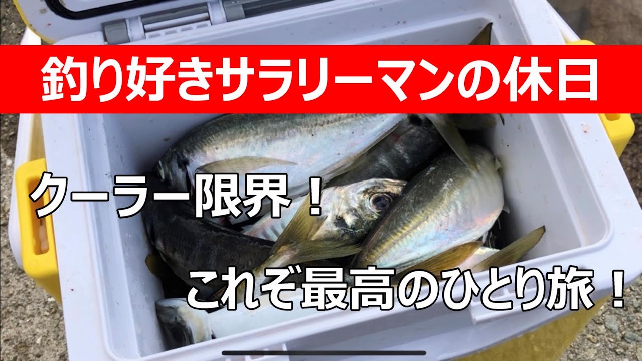 【過去最高釣果】初の淡路島アジング釣行記（後編）【これが淡路島かッ！】
