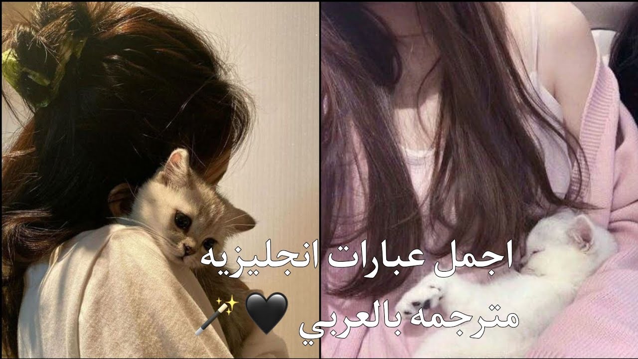 اجمل عبارات انجليزية مترجمة بالعربي//ومنها تعليم لغة انجليزية 📚🖤.