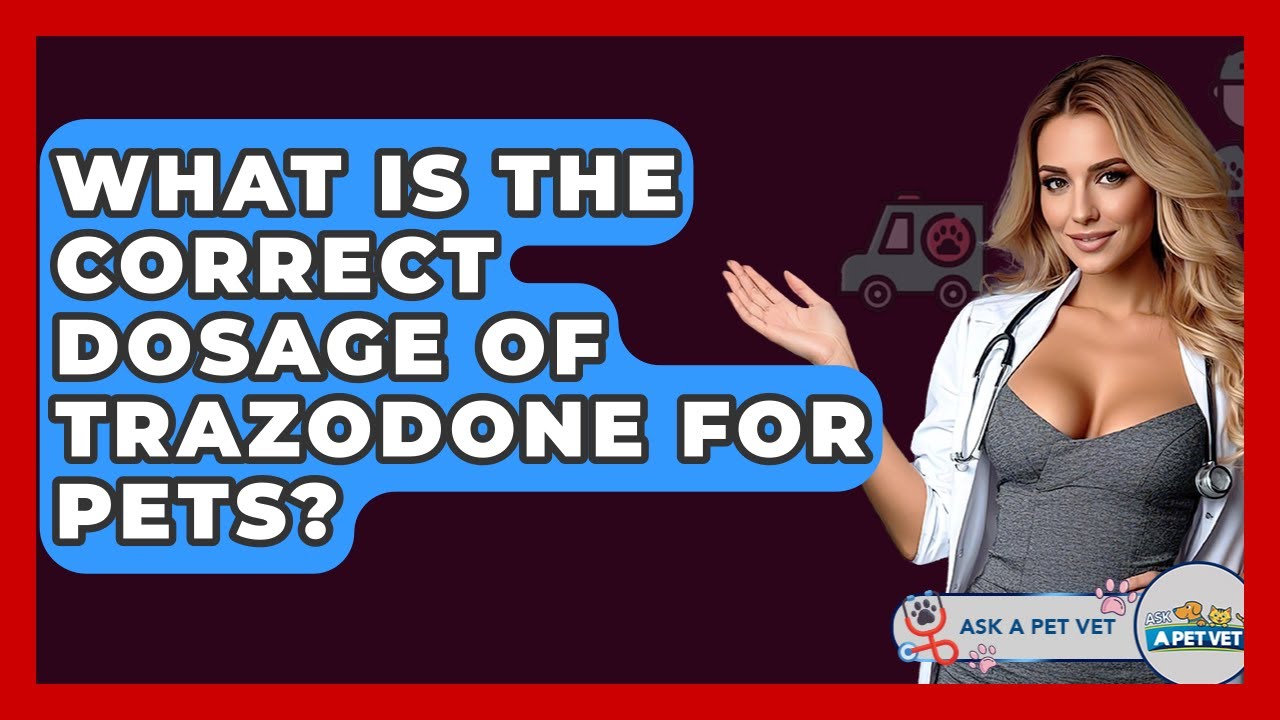 What Is The Correct Dosage Of Trazodone For Pets? - Ask A Pet Vet
