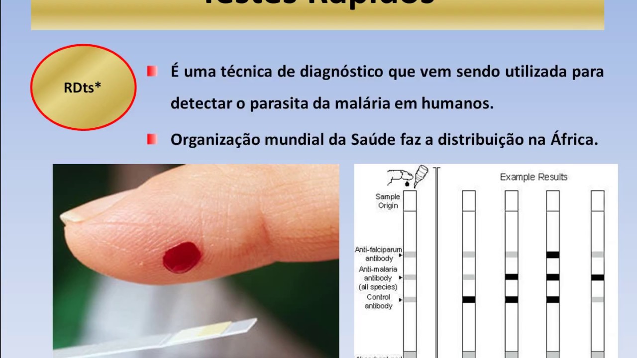 Aula 05 Diagnóstico Laboratorial das Parasitoses