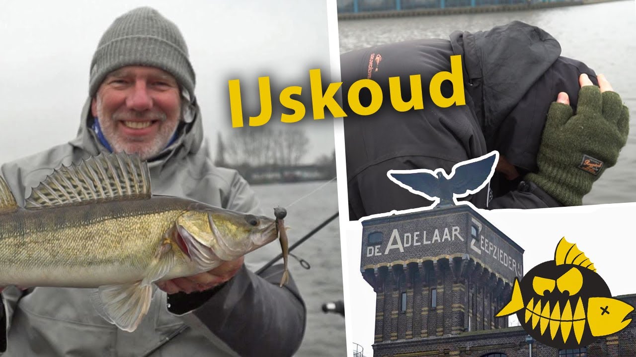 Missie: 30 Zaanse snoekbaarzen op de koudste dag ooit! (-15 graden)