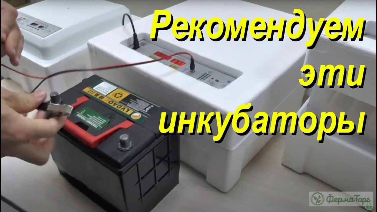 Эти настольные автоматические инкубаторы - одни из лучших. Вместимость от 36 до 176 яиц