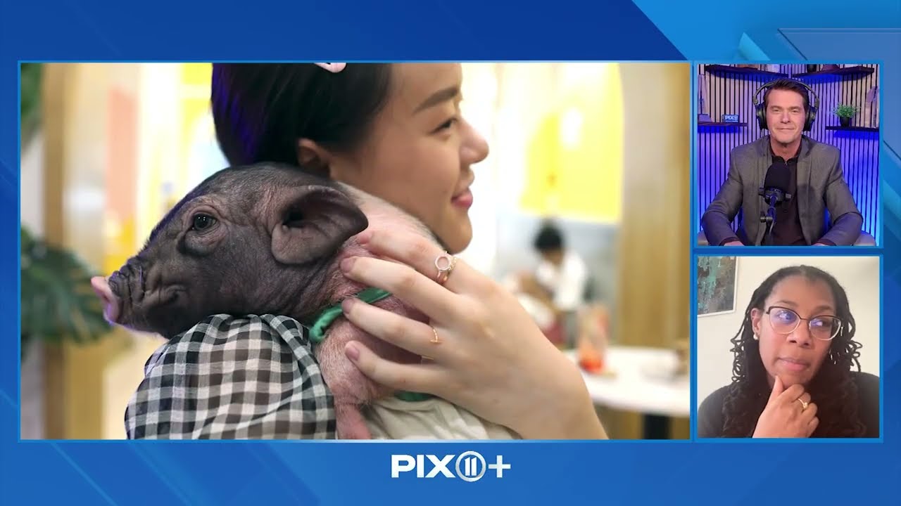 What to Know About Exotic Pet Ownership | Pet Nation