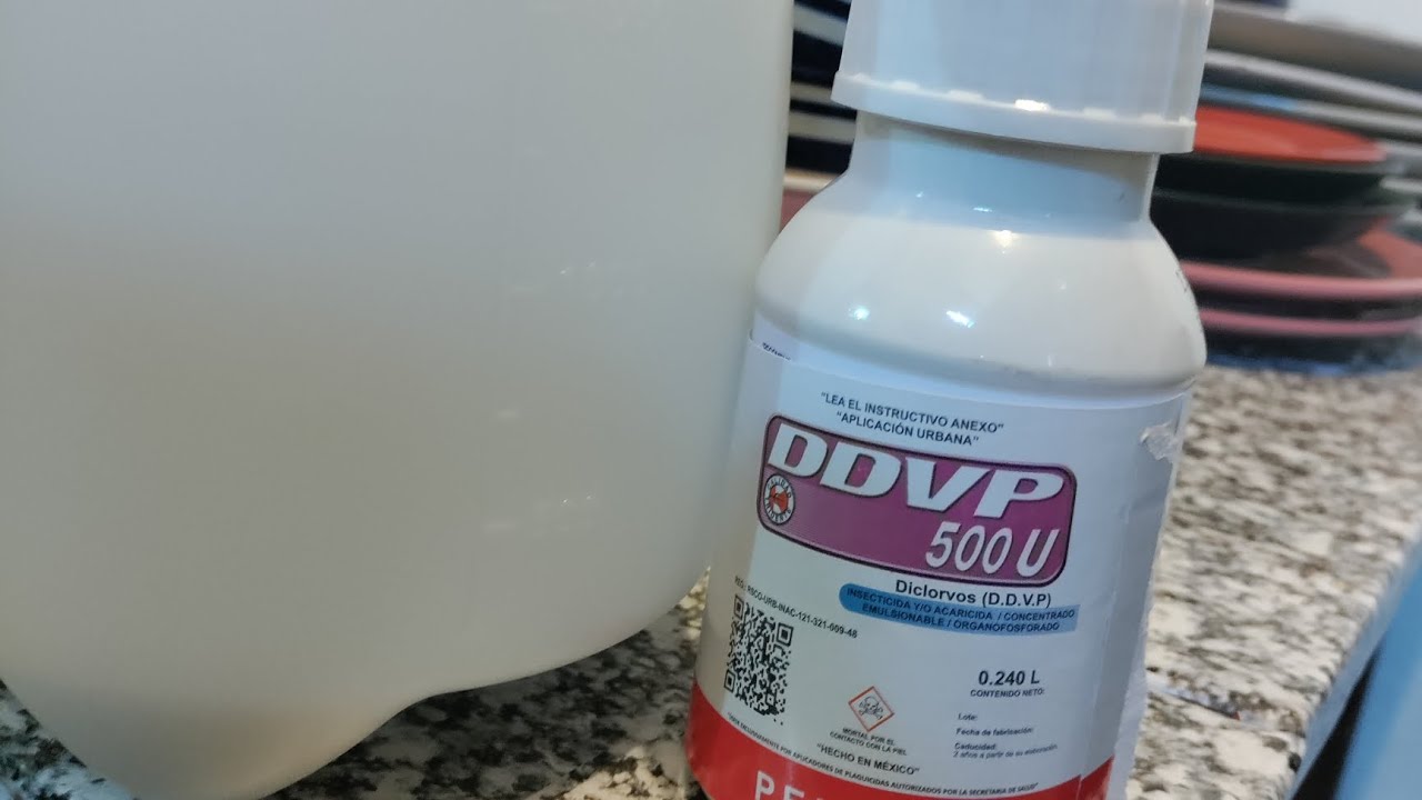 Elimina cucarachas 🪳🪳🪳 de una vez por siempre con esta insecticida #cucaracha #plaga #viral #fypシ 