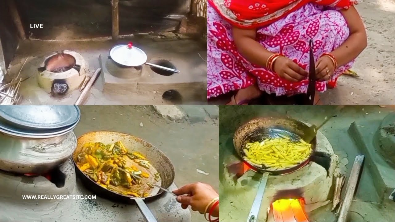 ননদের বাড়ী+দাদার মেয়ের বাড়ী/দুই আত্মীয়ের বাড়িতে চলো ঘুরে আসি/new saras vlogs 