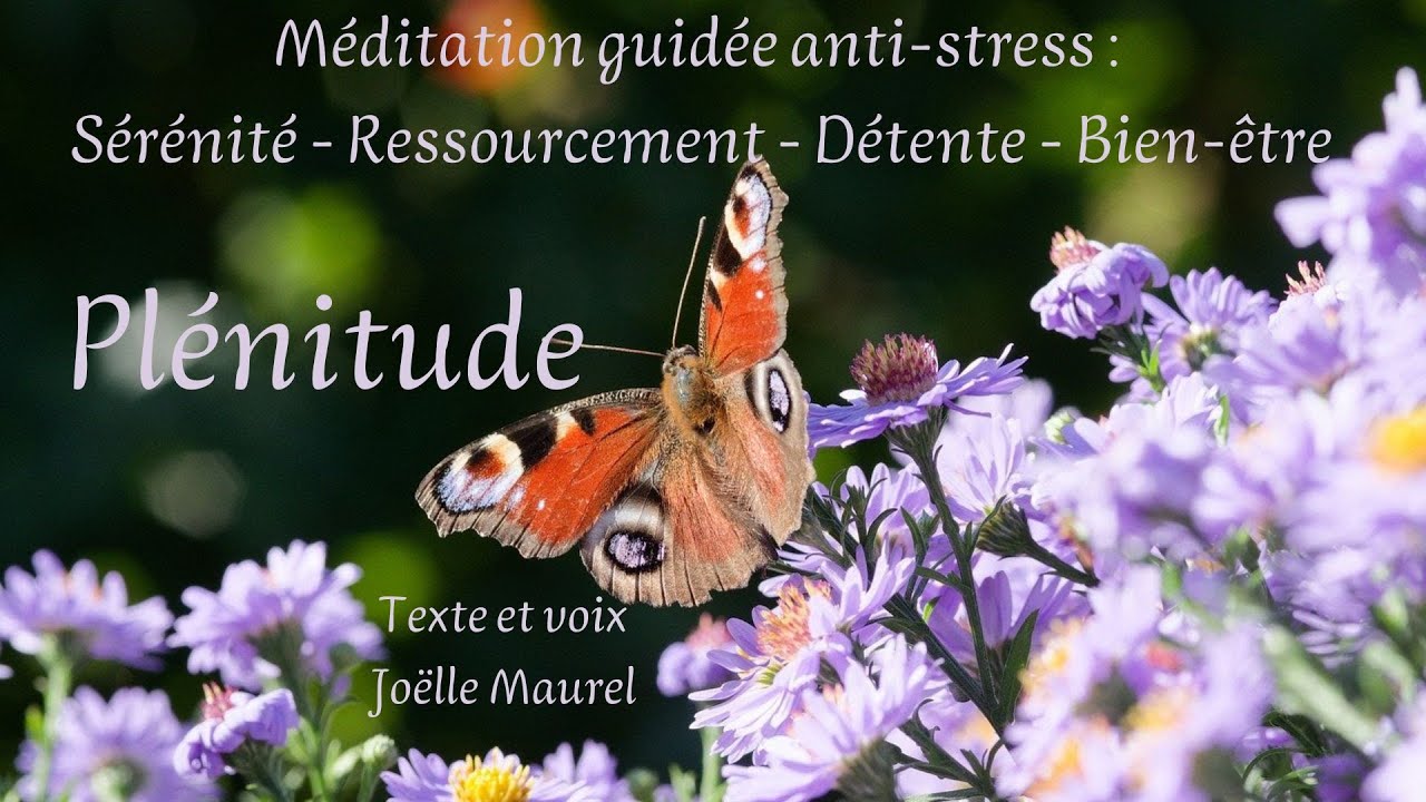 Plénitude : Sérénité, Bien-être, détente, ressourcement - Méditation anti-stress avec Joëlle Maurel
