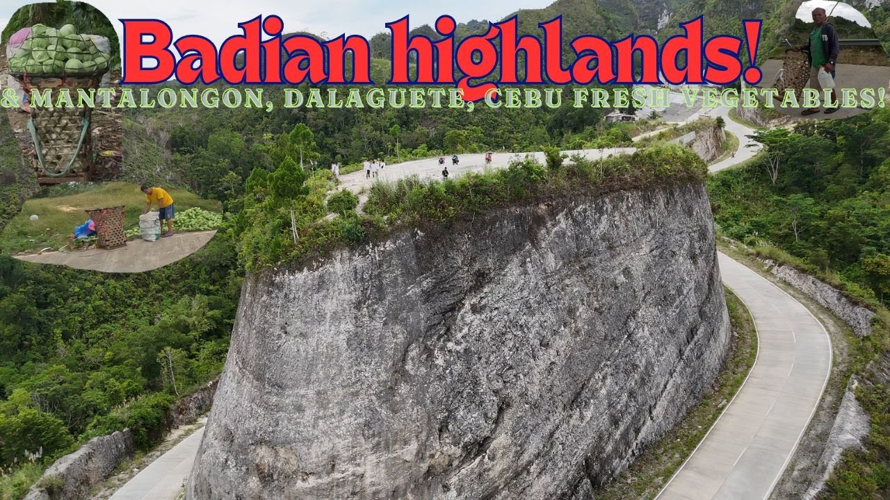 Going to BADIAN HIGHLANDS & MANTALONGON, DALAGUETE PLANTATION HARVEST!! panoramic breathtaking view!