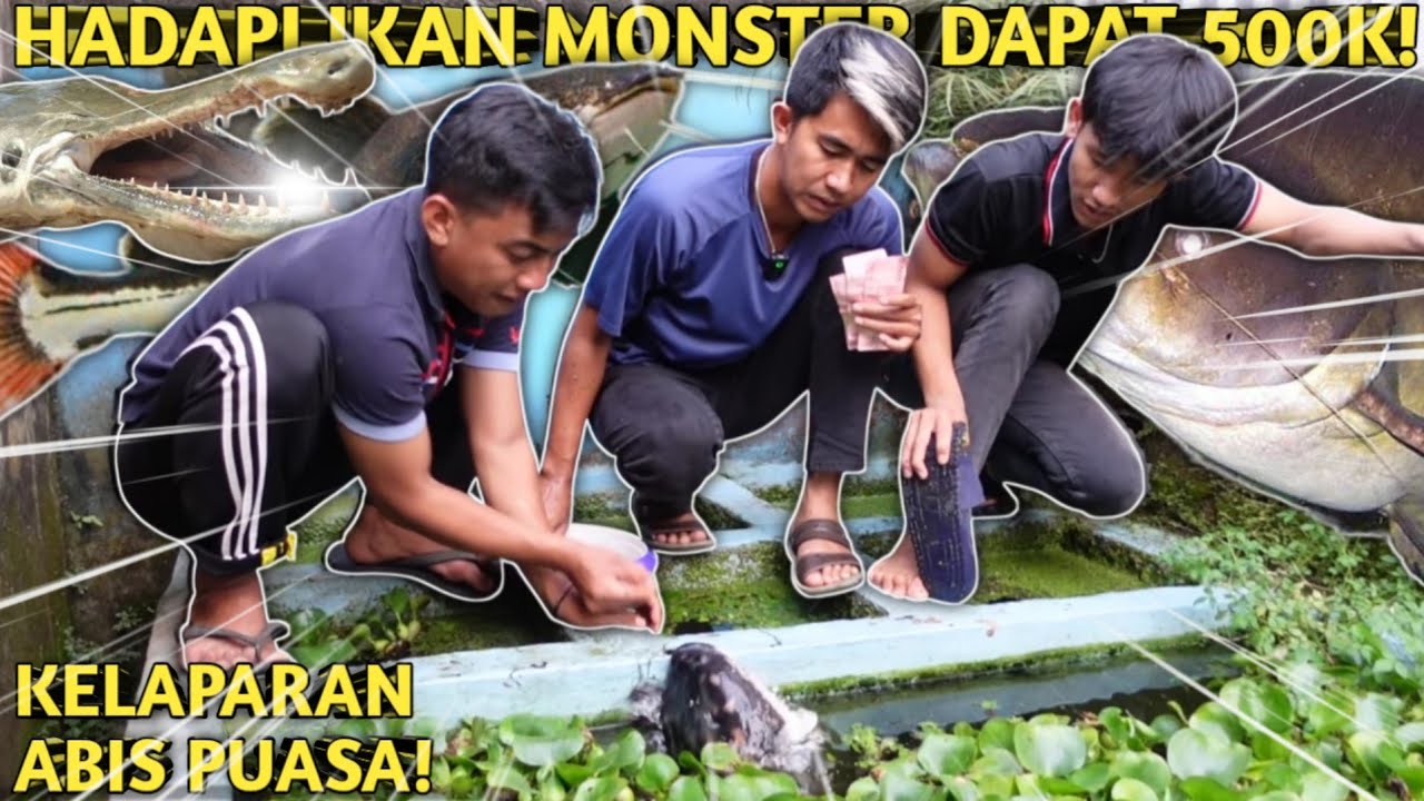 HADIAH 500 RIBU! CHALLENGE KASIH MAKAN IKAN MONSTER KELAPARAN PAKE LELE TANPA KAGET