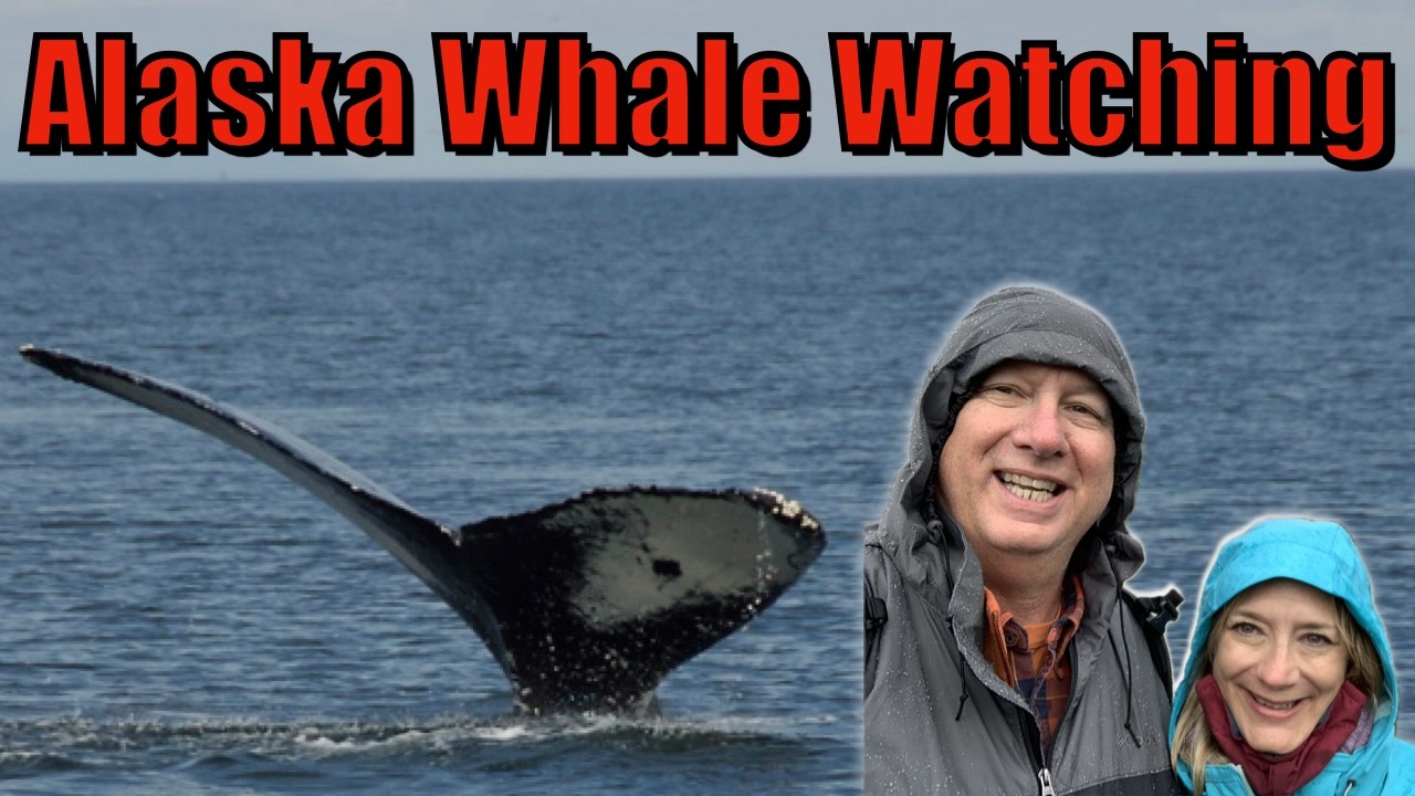 ALASKA'S MOST AMAZING Whale Watching Adventures!