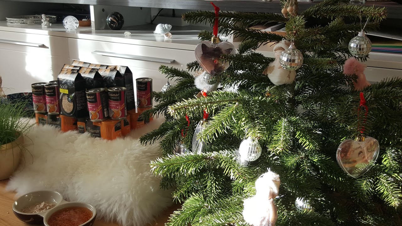 Weihnachtsbescherung für meine Lina 👼🐱🎄🎁