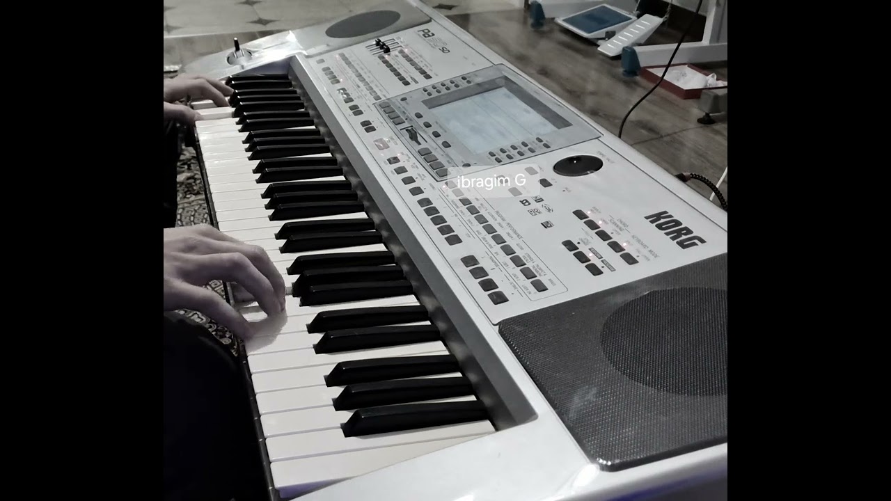 KORG PA 50 SD