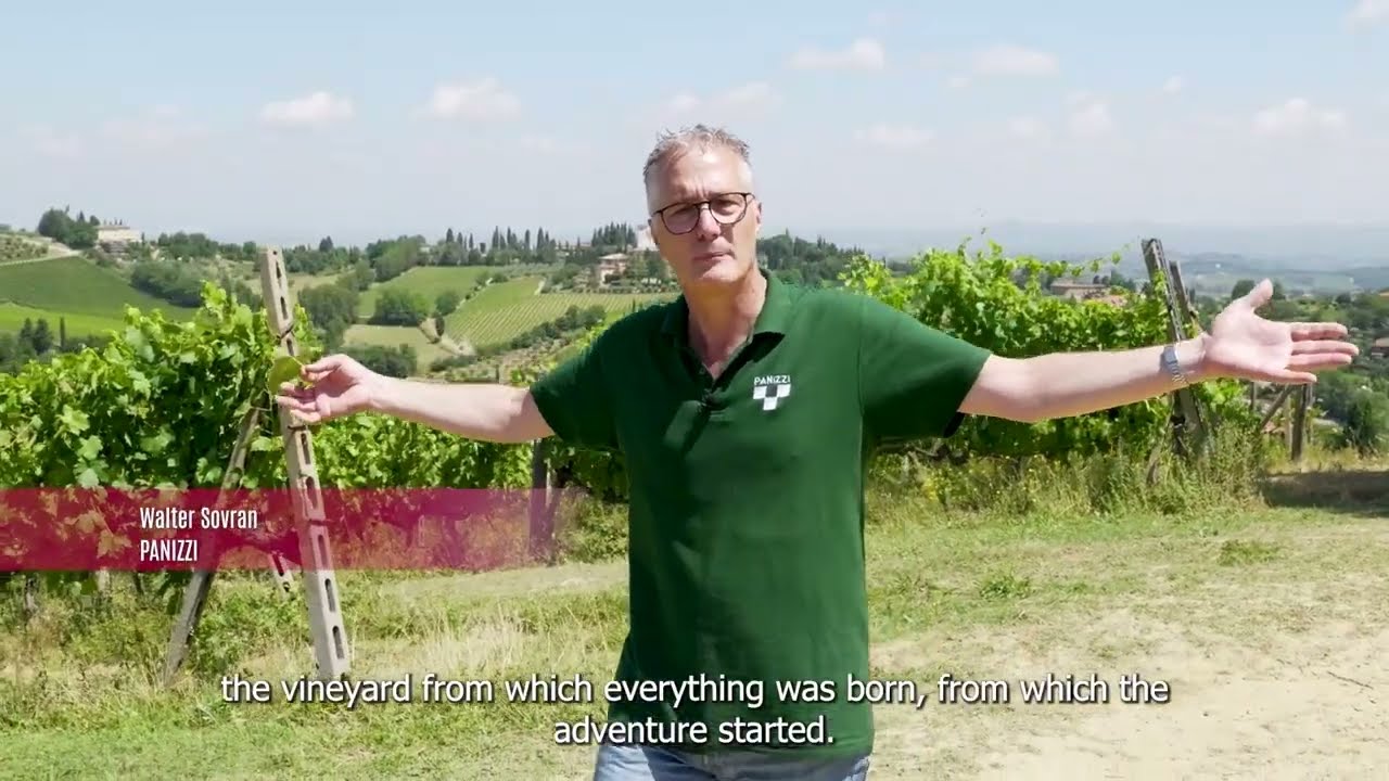 Vernaccia Vigna Santa Margherita - the birthplace of Vernaccia Panizzi