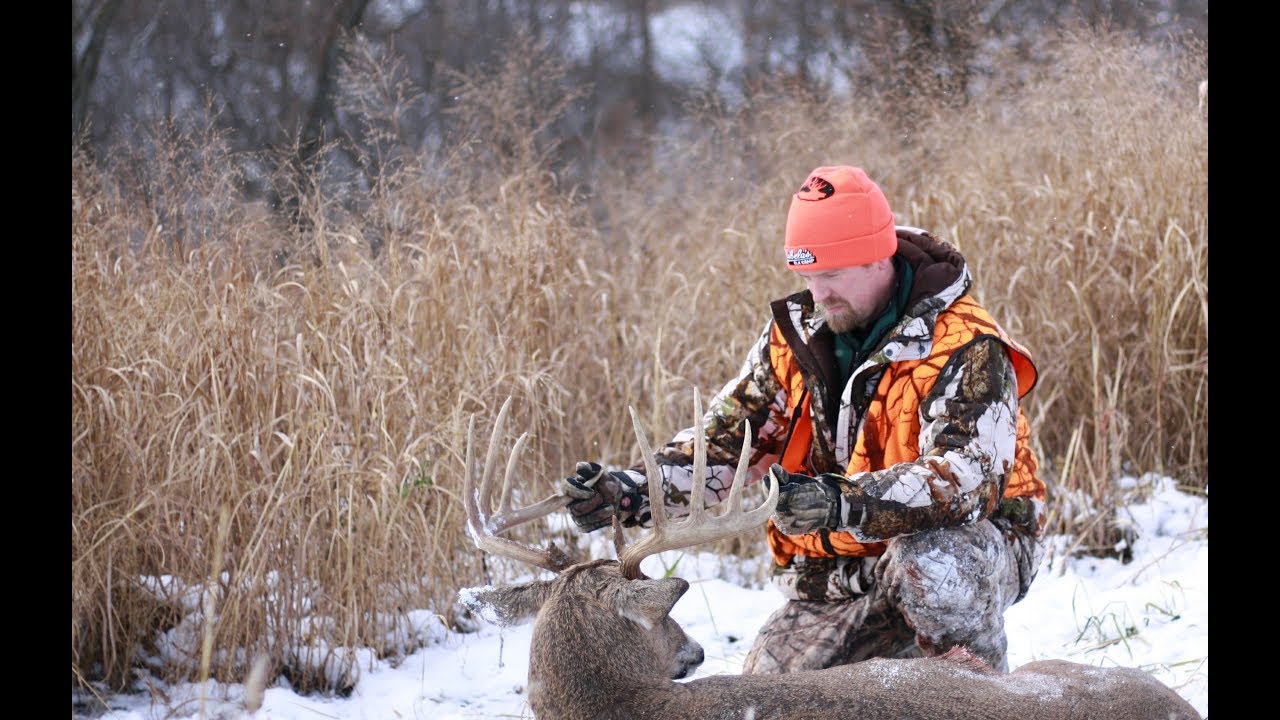 How To Plant Switchgrass For Deer