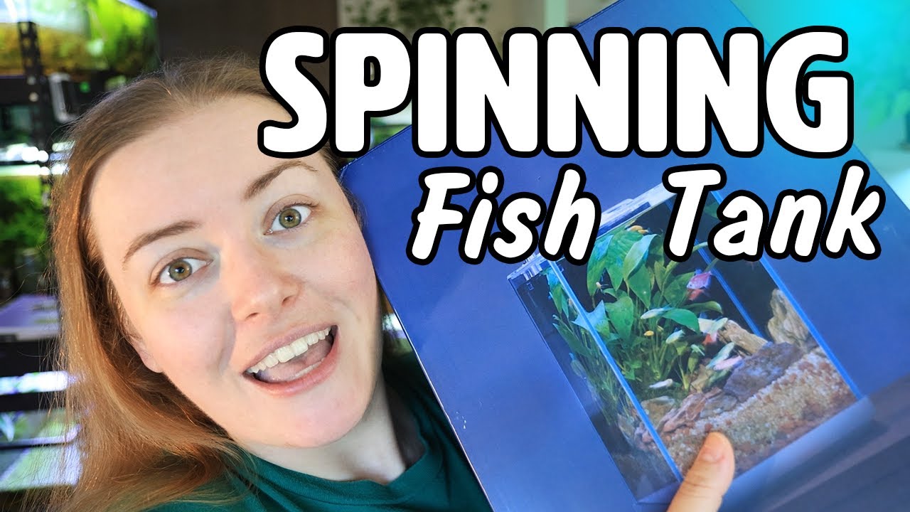 This BETTA tank SPINS 😲 V2 Vista Cube Unboxing
