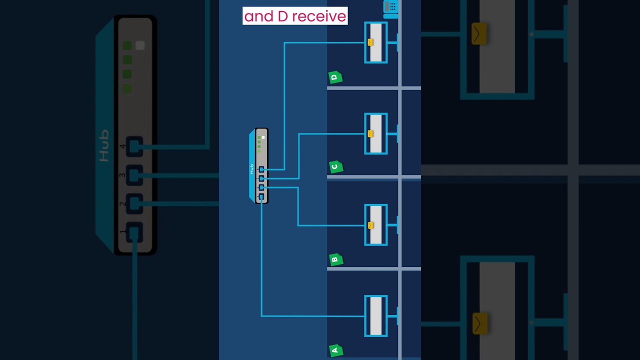 Network Hub #lan #hub  #switch