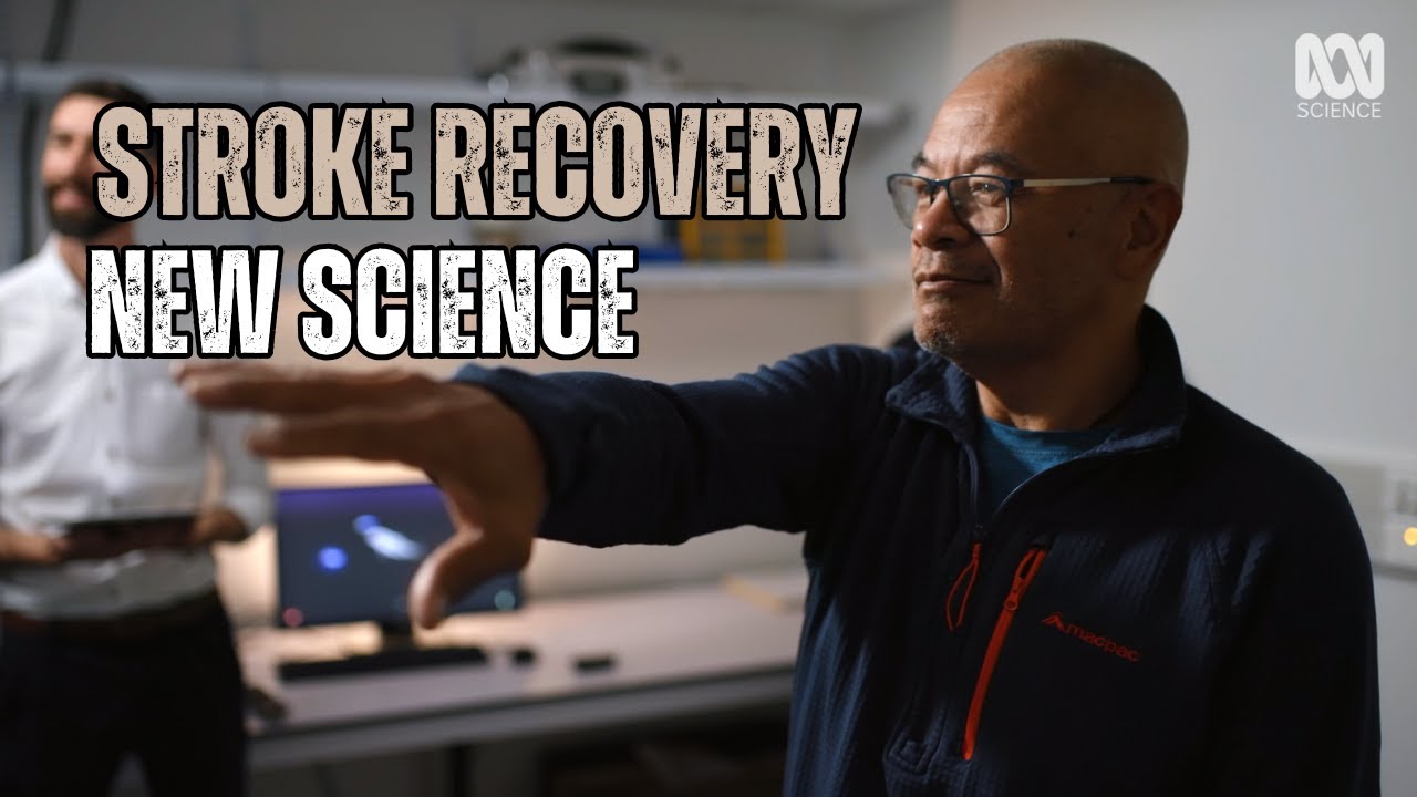 Can a digital dolphin help stroke survivors recover faster?