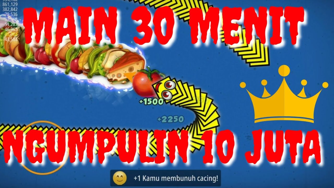 MAIN GAME CACING SELAMA 12 JAM (PART 1)