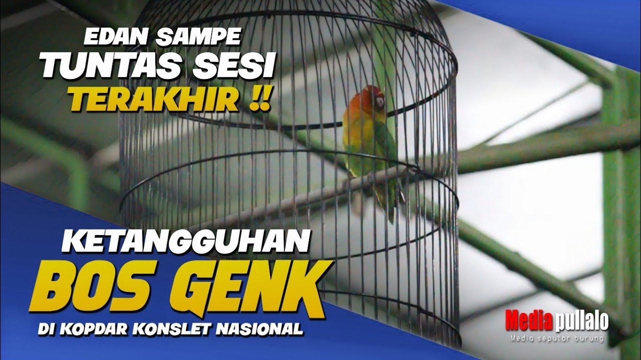 TUNTAS SESI AKHIR !! BOS GENK BERJUANG DI KOPDAR KONSLET NASIONAL - H KOJE MALANG