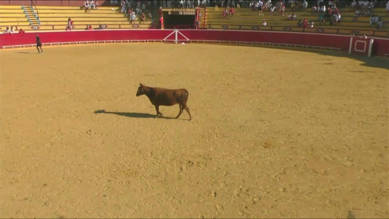 Lodosa, Fiestas 2022, Encierro mañana Martes 02/08/2022